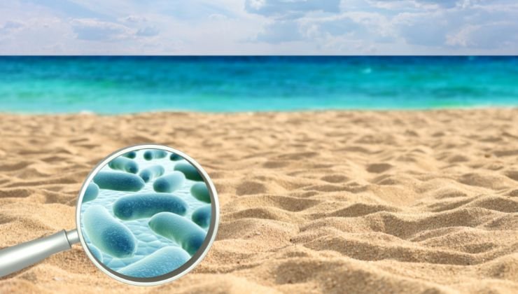 Nella sabbia ci sono dei batteri-attenzione alle infezioni