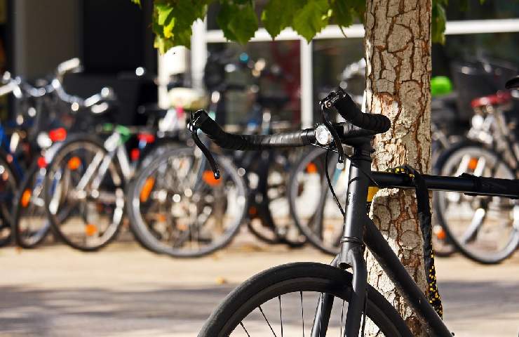 Bici nera appoggiata al tronco di un albero con dietro altre bici in lontananza