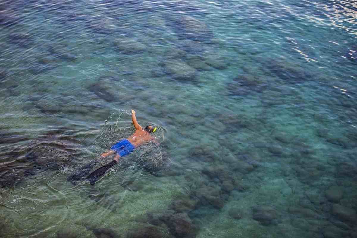 mare acqua pericoloso ingoiare batteri