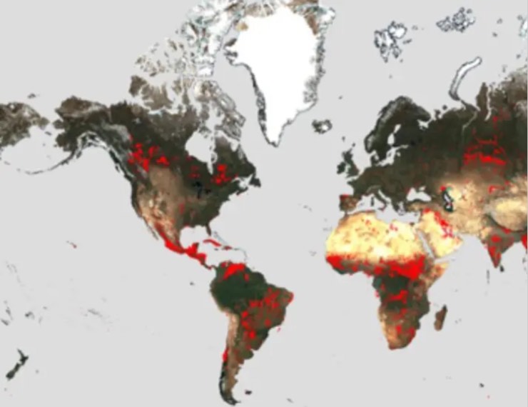 Gli incendi nel mondo, la situazione dovuta alla crisi climatica 