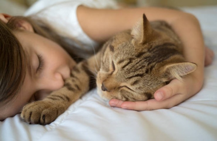 Ragazza dorme con il suo gatto