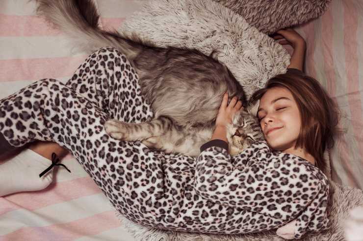 Perché il gatto sceglie la persona con cui dormire