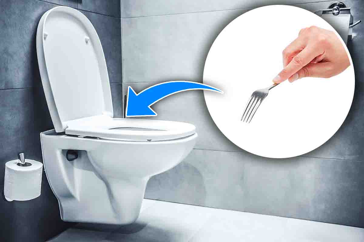 Hai mai pensato di pulire il WC con una forchetta? Sembra assurdo