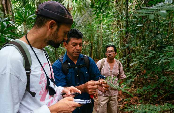 I parchi nazionali in Belize sono 17 e tutte meritano di essere viste