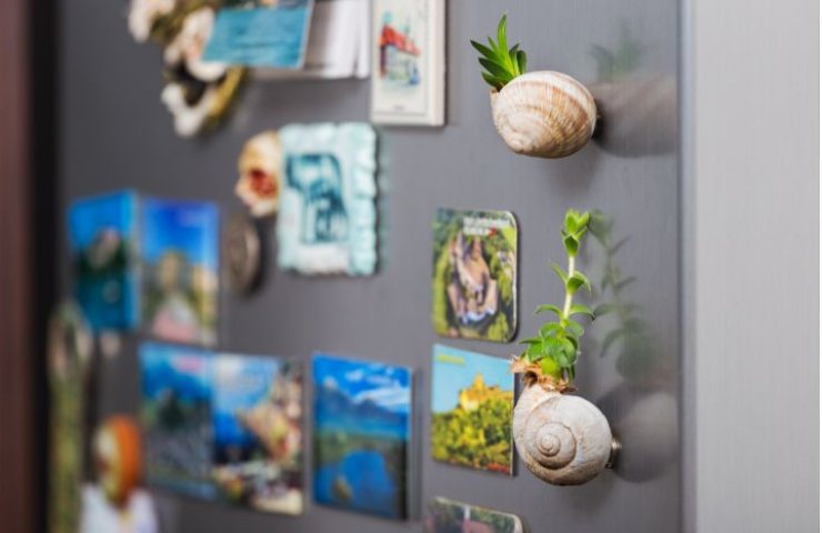 Calamite Frigorifero Con Musica Regalo San Valentino Lettore E Foto Integrati Riproduce Canzoni Cambia Foto Regalo Capodanno