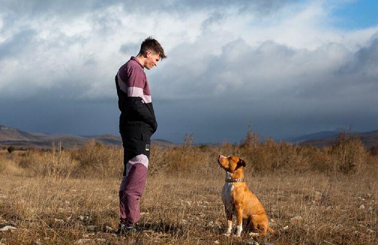 Chien de la casse ha ottenuto la nomination come miglior film per i Premi Cèsar