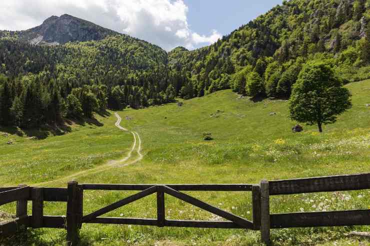 Le 5 città più Green in Italia