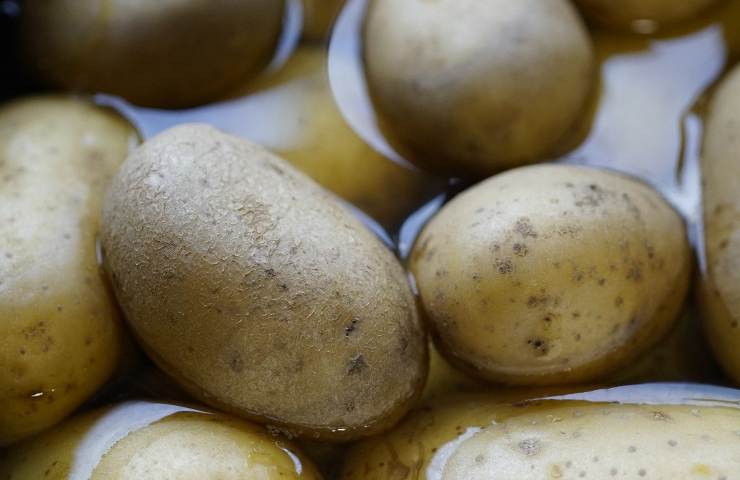 Come conservare le patate per non farle germogliare