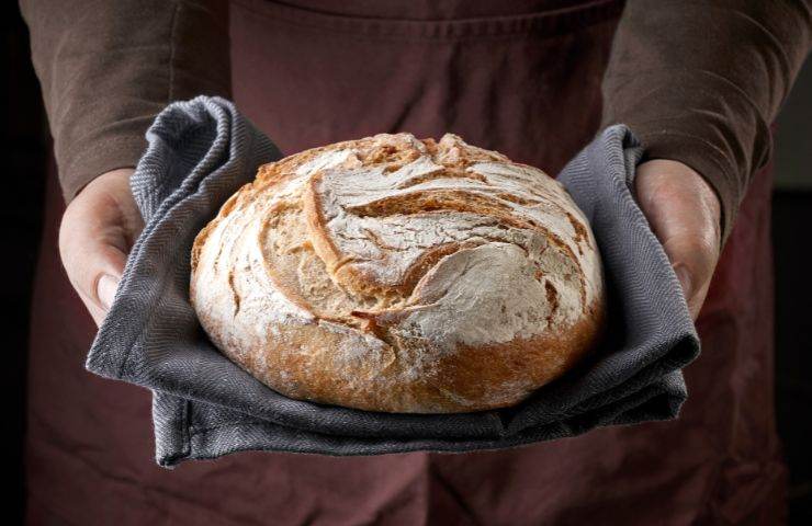 Pagnotta di pane appena preparata