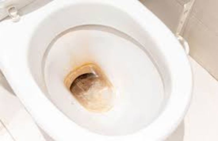 Metodo della nonna incrostatura wc rimozione