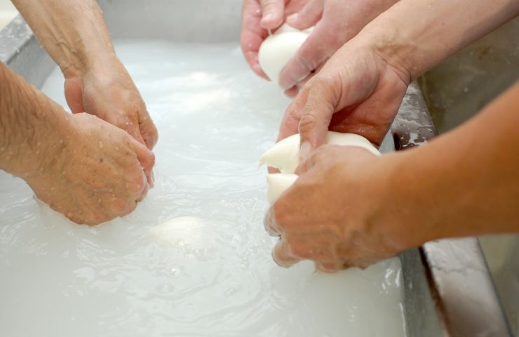 Produzione mozzarella