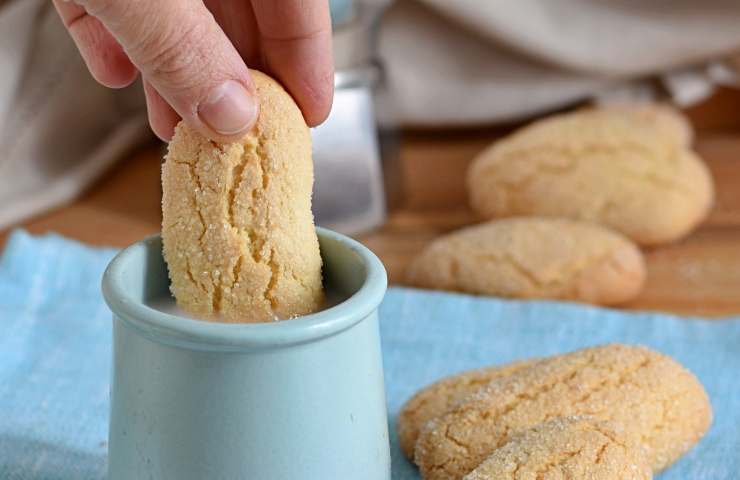 Biscotti da inzuppare