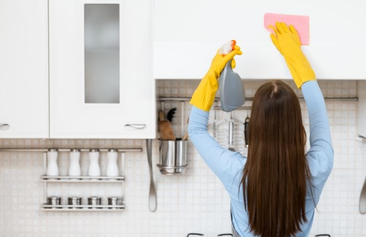 Donna di spalle pulisce la cucina 