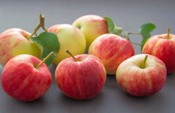 Frutta di stagione