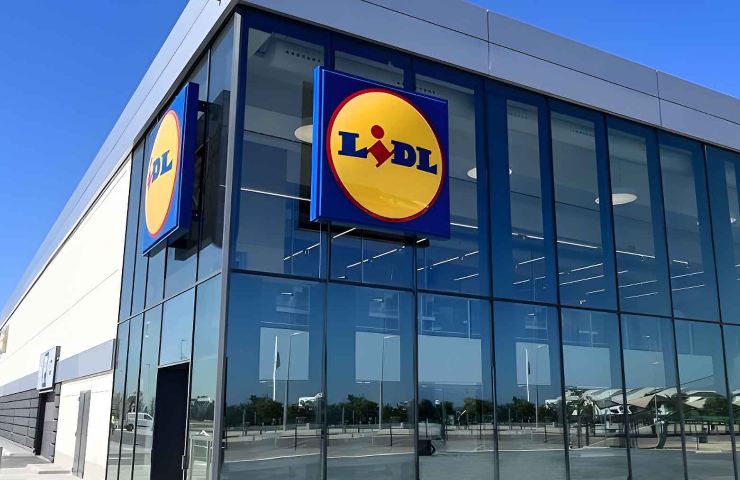 Lidl zanzariere offerte