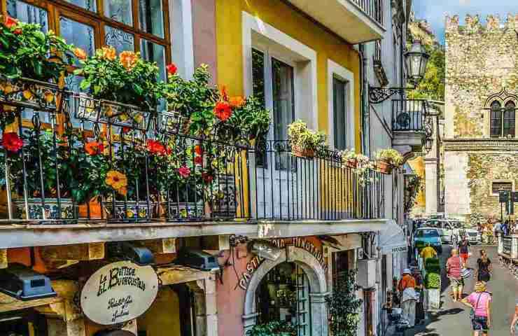 Piante balcone fiori colorati 